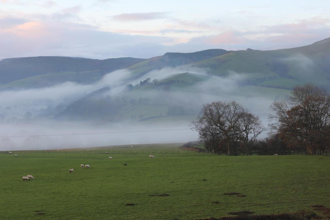 Отель The Royston Llanbrynmair Экстерьер фото